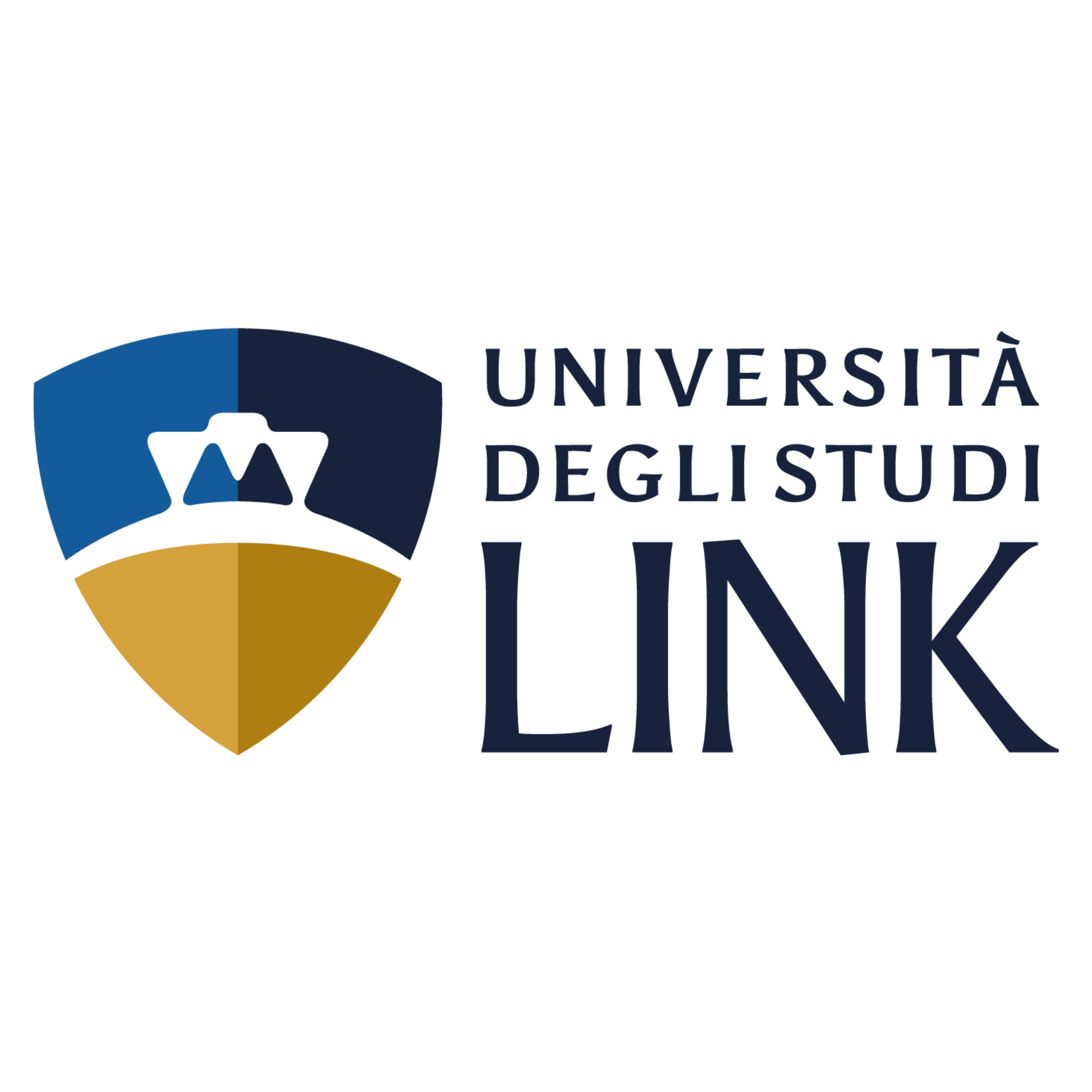 Università degli Studi LINK